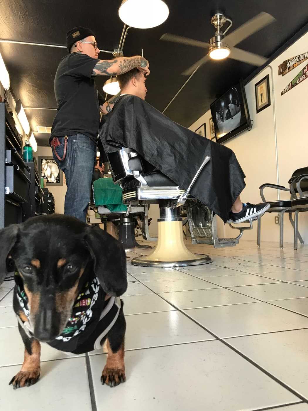 Eduardo cutting a client's hair at his barbershop, with his dog in the foreground